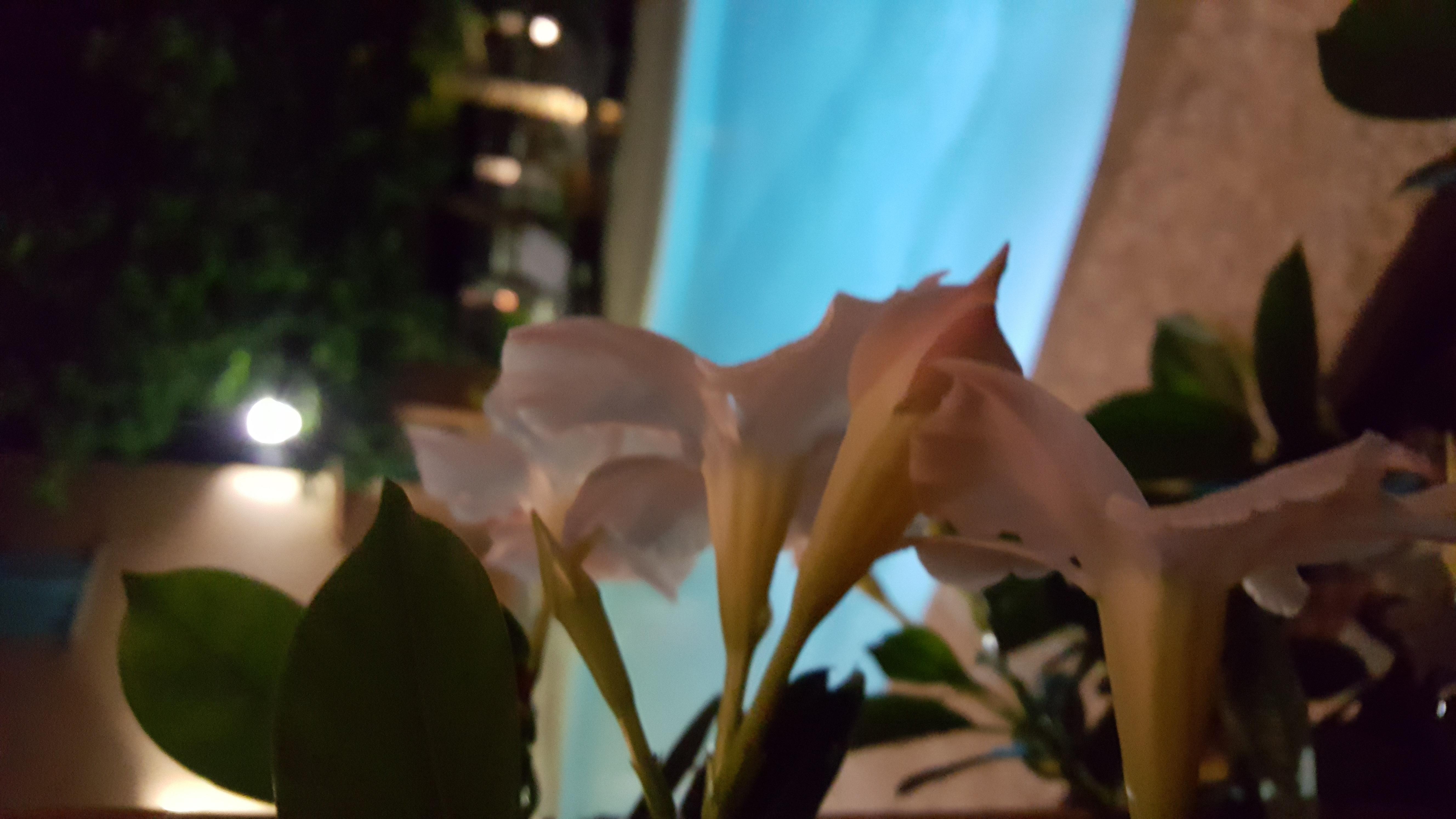 Les Jardins De La Glaciere كورتي المظهر الخارجي الصورة